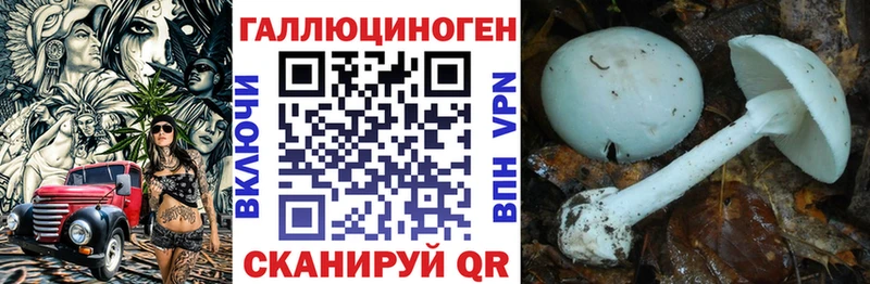 Купить где  Пятигорск  Псилоцибиновые грибы ЛСД 