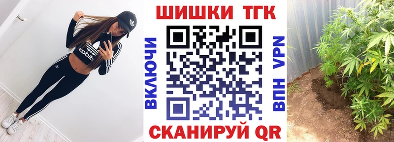 Купить закладки  Пятигорск  Шишки марихуана планчик 